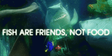 finding-nemo-fish-3245560882