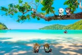 Beach Life[sound=files.catbox.moe%2Fym8idb.mp3]