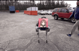 vedal training neuro