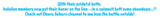1739259264026995