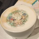 Mintoccino