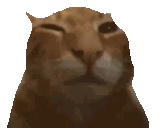 1727168424867458