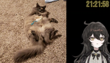 fluffy