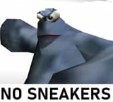 NO SNEAKERS