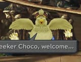 chocobo king
