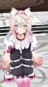 1751262433830007_thumb.jpg