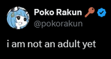 Screenshot 2025-07-10 at 12-35-40 Poko Rakun 🔑 on X i am not an adult yet clearly since i do not enjoy smörgåstårta _ X