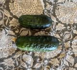 cucumber