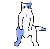 yuu cat sneed