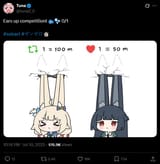 IPYPv