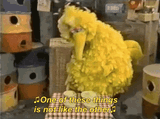 bigbird-one-of-these-things-is-not-like-the-others