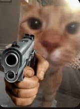 stop reposting
