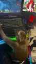 monke_thumb.jpg