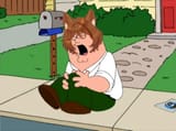 mint knee