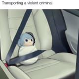 1736240338949848