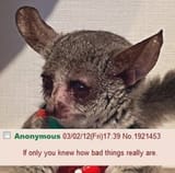 1733478620107652