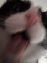 1737777550641021