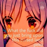1607497296009