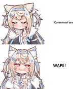 WAPE
