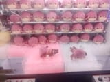 IMG_20250713_130458