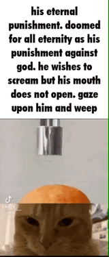 1743348900901269