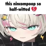 closeupLianincompoop