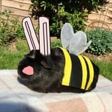 BumblebeePipipi[sound=files.catbox.moe%2Fphbl9m.mp3]