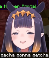 N___er Portal