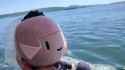 Ope Cruises[sound=files.catbox.moe%2Fyydcsk.mp3][sound=files.catbox.moe%2Fgfr1dc.mp3][sound=files.catbox.moe%2F1zjwlp.mp3]_thumb.jpg