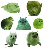 glorp