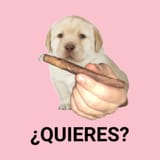 quieres