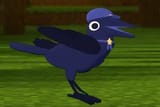 crowki
