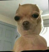 17063026612215423