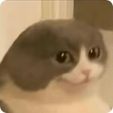 1749676672231818