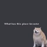 What has this place become [sound=files.catbox.moe%2Fkm8ypa.mp3]