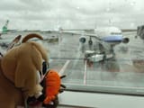 @coolcola.bsky.social-bsky-3ljoefytndk2f-0