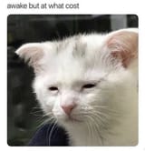 1629470939493