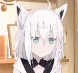 1625168158320
