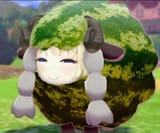 watamelon