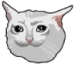 cryingcat-2x
