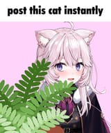1743993416005622