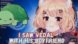Vedal gay