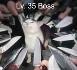 1733425887553100