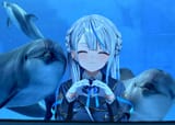 dolphin