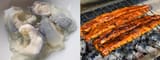 British and Japanese Eel Cuisine