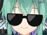 Feesh Sunglasses