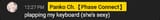 Screenshot 2025-07-17 at 12-28-22 Panko plays P.T. (sca[...]