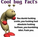 bug