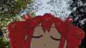 birdbrain-teto_thumb.jpg