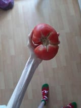 images_165